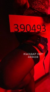 Проститутка Караганды Девушка№469438 Госпожа Фотография №3855209