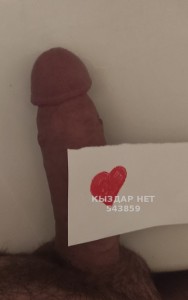 Жиголо Шымкента Анкета №543859 Фотография №4083884